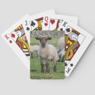 Shetland-Schaf Spielkarten