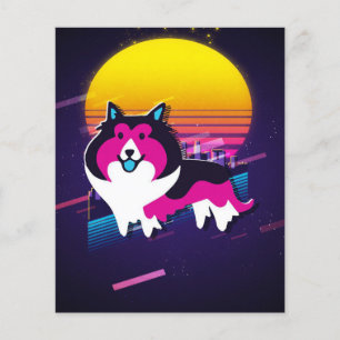 Shetland-Schäferhund Flyer