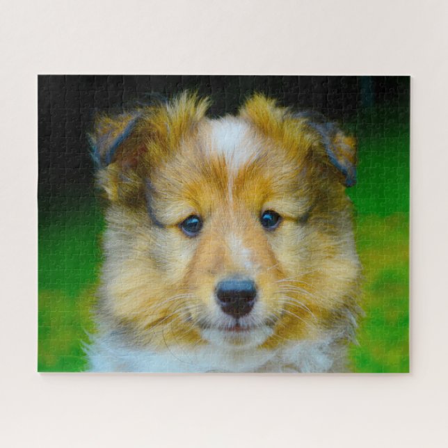 Shetland Schafhund Jigsaw. (Horizontal)