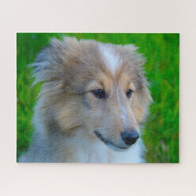 Shetland Sheep Hund Jigsaw. (Horizontal)
