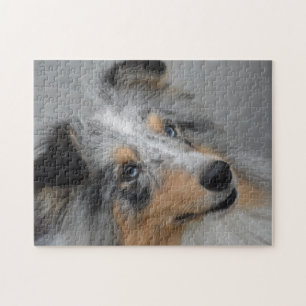 Shetland Sheep Hund Jigsaw.