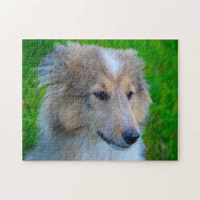 Shetland Sheep Hund Jigsaw. (Horizontal)