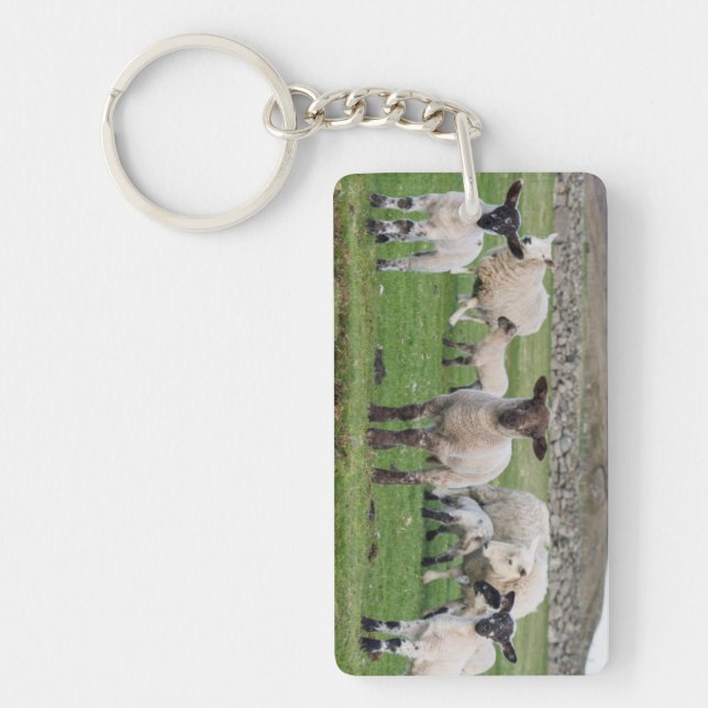 Shetland Sheep Schlüsselanhänger (Vorderseite)