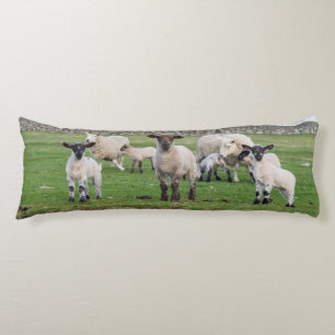 Shetland Sheep Seitenschläferkissen