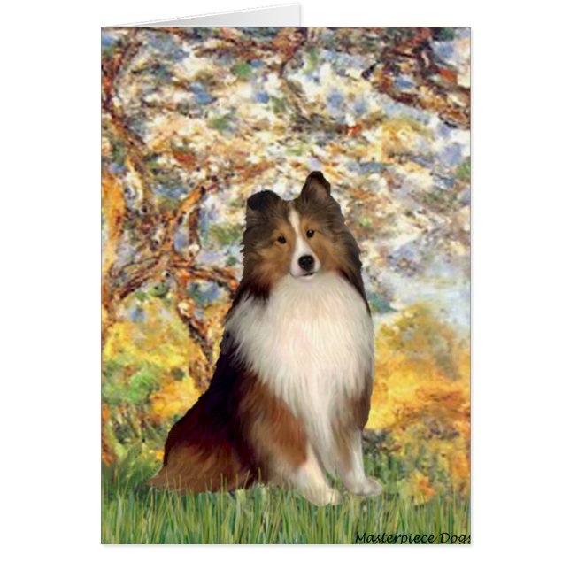 Shetland Sheepdog 1 - Spring (Vorne)
