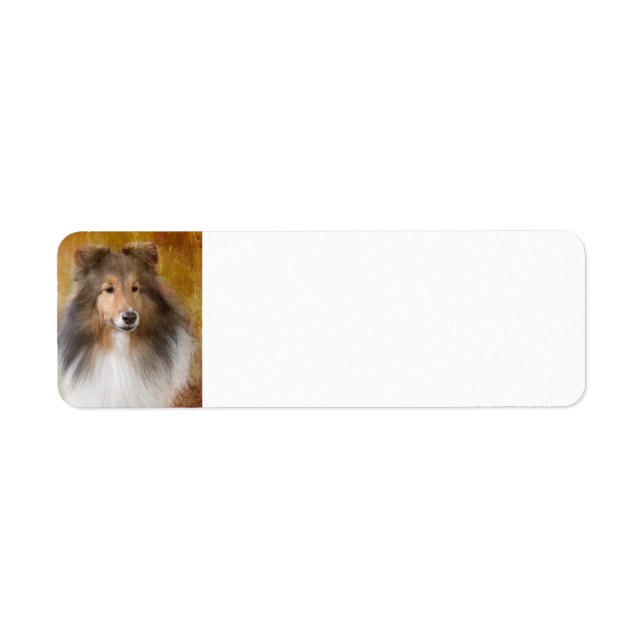 Shetland Sheepdog-Adressetikett (Vorne)