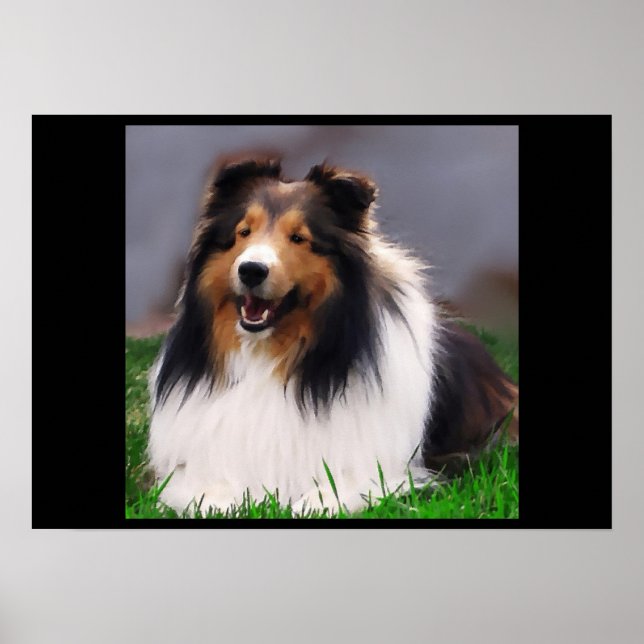 Shetland Sheepdog Art Poster (Vorne)