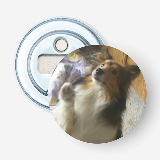 Shetland Sheepdog Bettelt Flaschenöffner (Vorderseite)