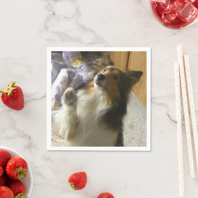 Shetland Sheepdog Bettelt Serviette (Beispiel)