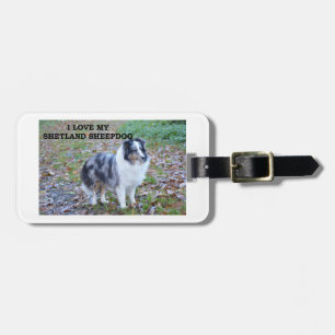 shetland-sheepdog-blue merle white tan Liebe w pic Gepäckanhänger