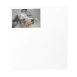Shetland Sheepdog Blue Tri Notizblock