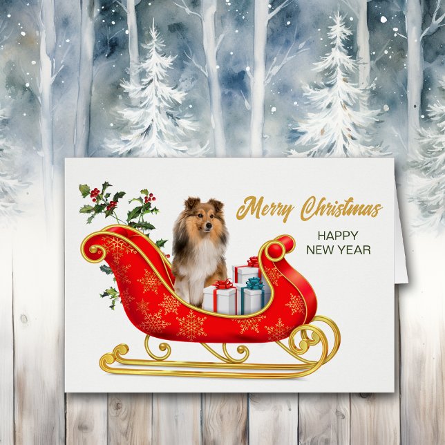 Shetland Sheepdog - carte de traînée de Noël (Créateur téléchargé)
