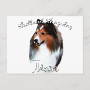 Shetland Sheepdog (Einmal) Mama 2 Postkarte