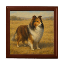 Shetland Sheepdog