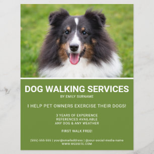 Shetland Sheepdog Foto Green Dog Walker Template Flyer