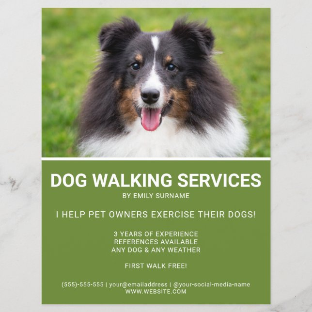 Shetland Sheepdog Foto Green Dog Walker Template Flyer (Vorne)