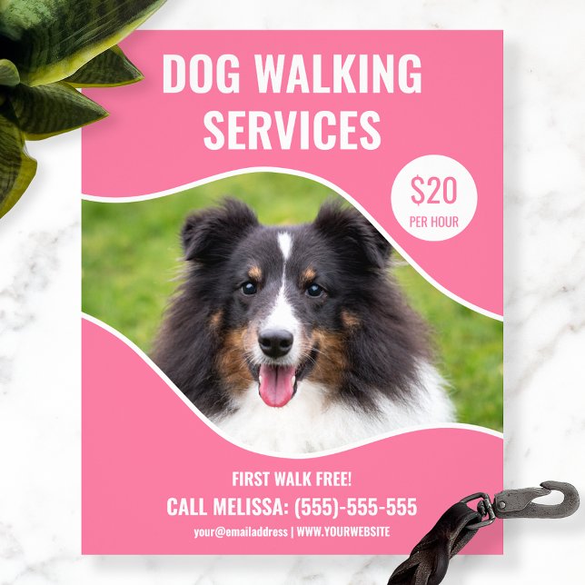 Shetland Sheepdog Foto - Pink Dog Walking Service Flyer (Von Creator hochgeladen)