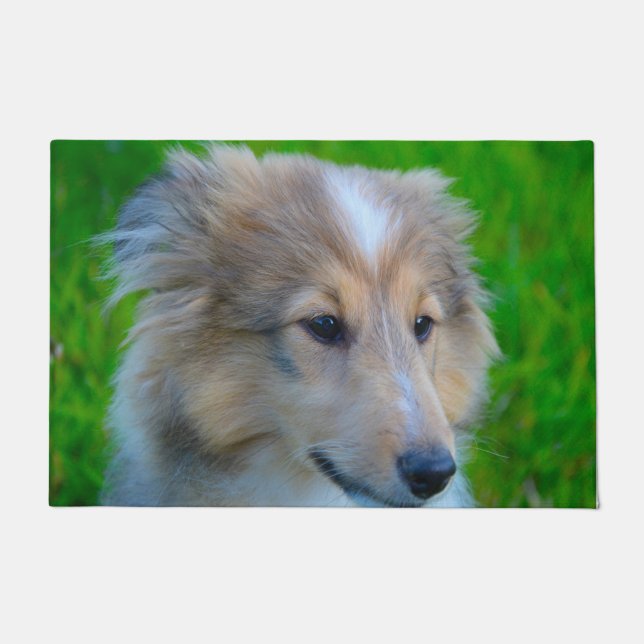 Shetland Sheepdog Fußmatte (Vorderseite)