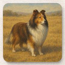 Shetland Sheepdog