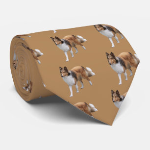 Shetland Sheepdog Krawatte