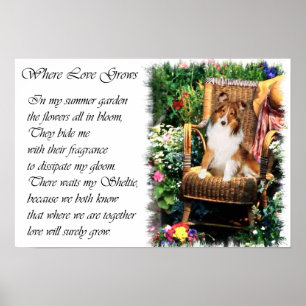 Shetland Sheepdog Kunstgeschenke Poster