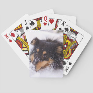 Shetland Sheepdog liegt im Schnee Spielkarten
