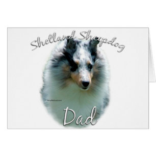 Shetland Sheepdog (Merle) Vater 2