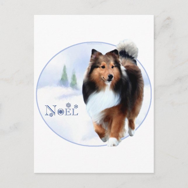 Shetland Sheepdog Noel Feiertagspostkarte (Vorderseite)