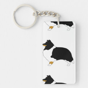 shetland sheepdog noir blanc et tan silo
