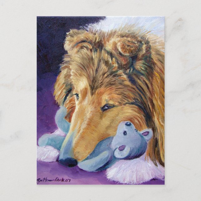 Shetland Sheepdog Postkarten (Vorderseite)