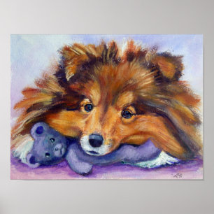 Shetland Sheepdog Print Poster