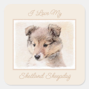 Shetland Sheepdog Puppy Malerei Original Dog Art Quadratischer Aufkleber