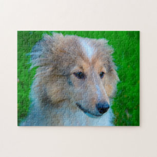 Shetland Sheepdog Puzzle.