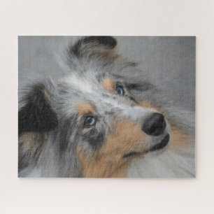 Shetland Sheepdog Puzzle.