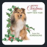 Shetland Sheepdog Red Berry Holly Christmas Quadratischer Aufkleber<br><div class="desc">Auf diesen hübschen Holiday-Karten-Umschlagaufklebern sitzt ein Shetland Sheepdog vor heiligen,  mit roten Beeren beladenen Krähen. Der rote und grüne Text rechts sagt "NUR Weihnachten UND GLÜCKLICHES NEUES JAHR". Ihr benutzerdefinierter Text ist unten. Ideal für Ihre Weihnachtskorrespondenz oder Geschenkpakete!</div>