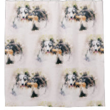 Shetland Sheepdog / Rough Collie