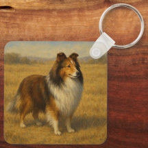 Shetland Sheepdog