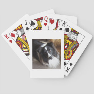 Shetland Sheepdog Schwarz und Weiß Spielkarten