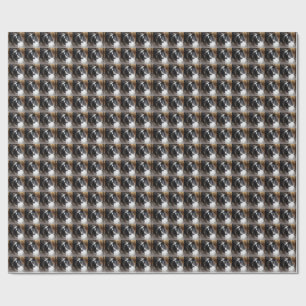 Shetland Sheepdog Schwarz-Weiß Geschenkpapier