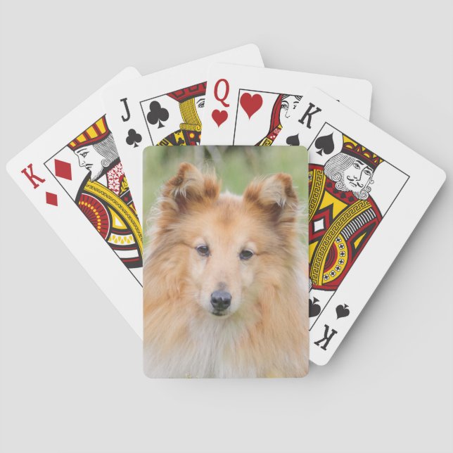 Shetland Sheepdog - Sheltie Dog Spielkarten (Rückseite)