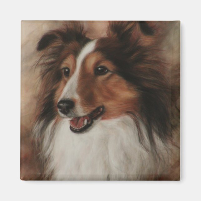 Shetland Sheepdog Sheltie lächelnd Magnet (Vorne)
