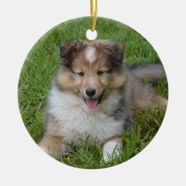Shetland Sheepdog - Sheltie Puppy Dog Keramik Ornament (Vorne)