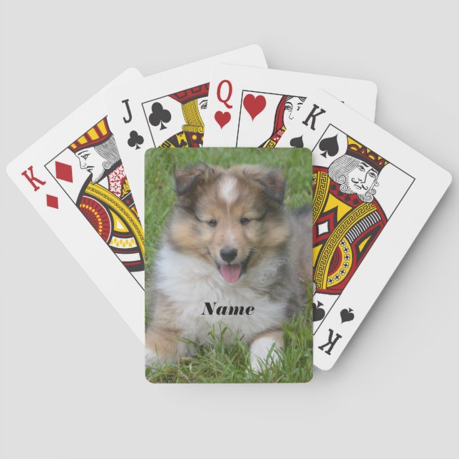 Shetland Sheepdog - Sheltie Puppy Dog Spielkarten (Rückseite)