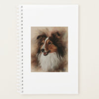 Shetland Sheepdog Sheltie sourire