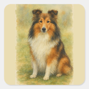 Shetland Sheepdog sitzt Aquarell Quadratischer Aufkleber