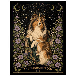 Shetland Sheepdog, Sternenlicht-Tarot-Kunst Postkarte
