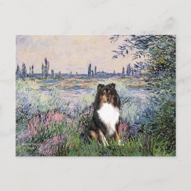 Shetland Sheepdog (Tri) - An der Seine Postkarte (Vorderseite)