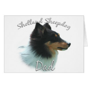 Shetland Sheepdog (tri) Vater 2
