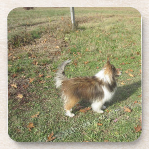 Shetland Sheepdog Voll Sekunde Getränkeuntersetzer