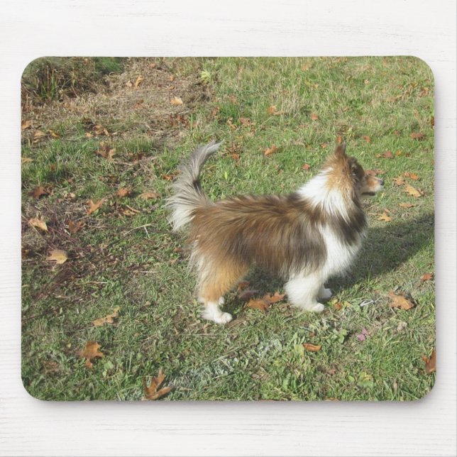 Shetland Sheepdog Voll Sekunde Mousepad (Vorne)